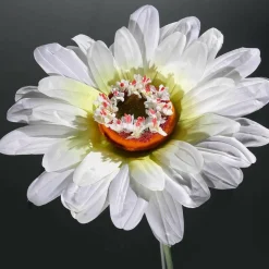 Margarita Gigante Blanca, 100 Cm, Ø 36 Cm