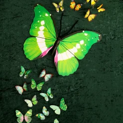 Mariposas Decorativas Verde 40 Cm 3 Piezas