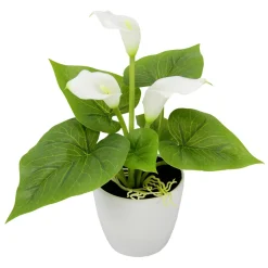 Mini Cala Artificial Blanca En Maceta 20 Cm