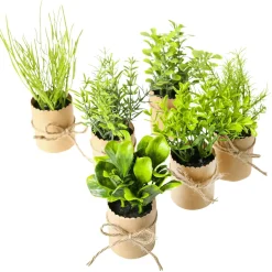 Mini Hierbas En Maceta 6 Piezas 15 Cm