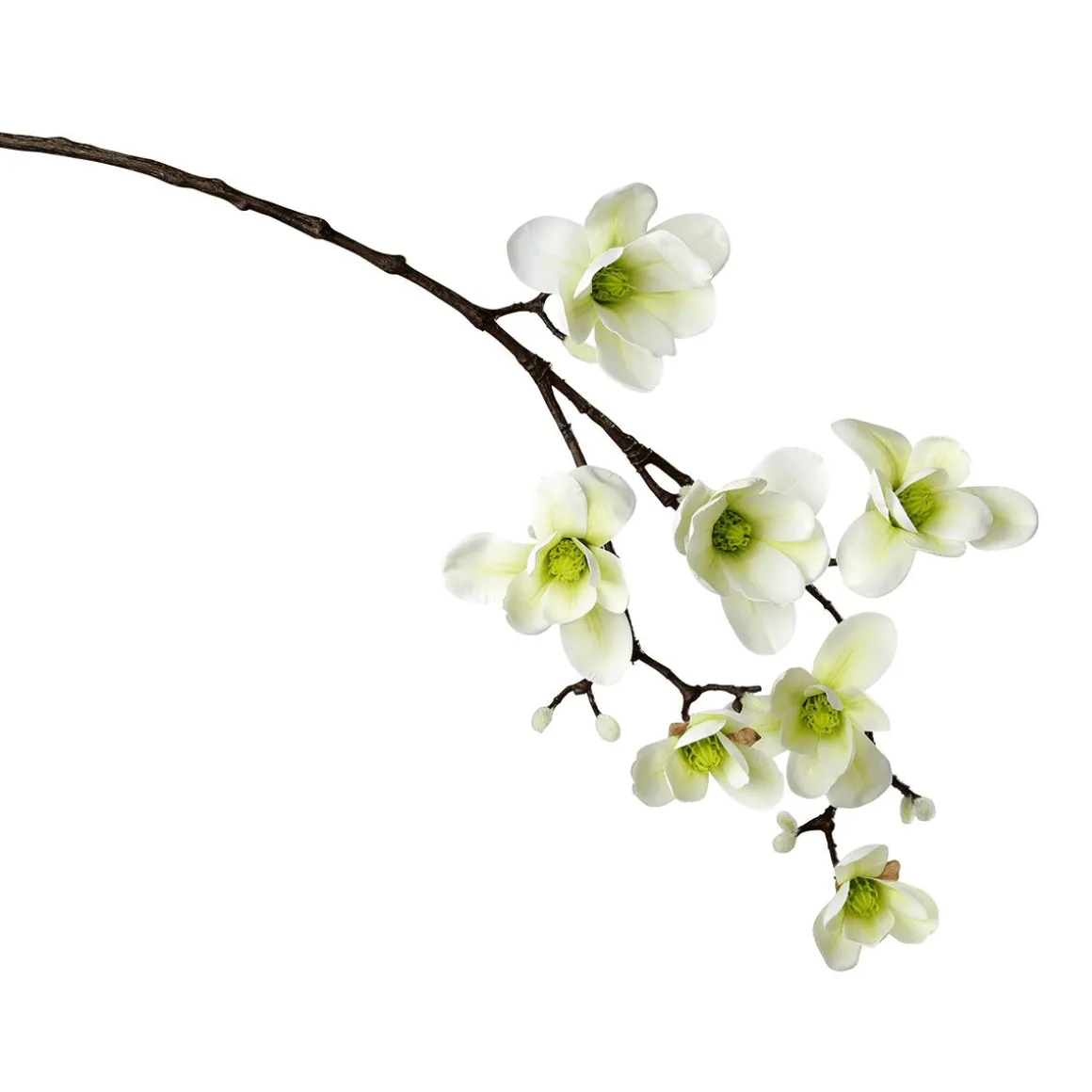 Noble Rama De Magnolia Artificial, Blanco Verde, 100 Cm