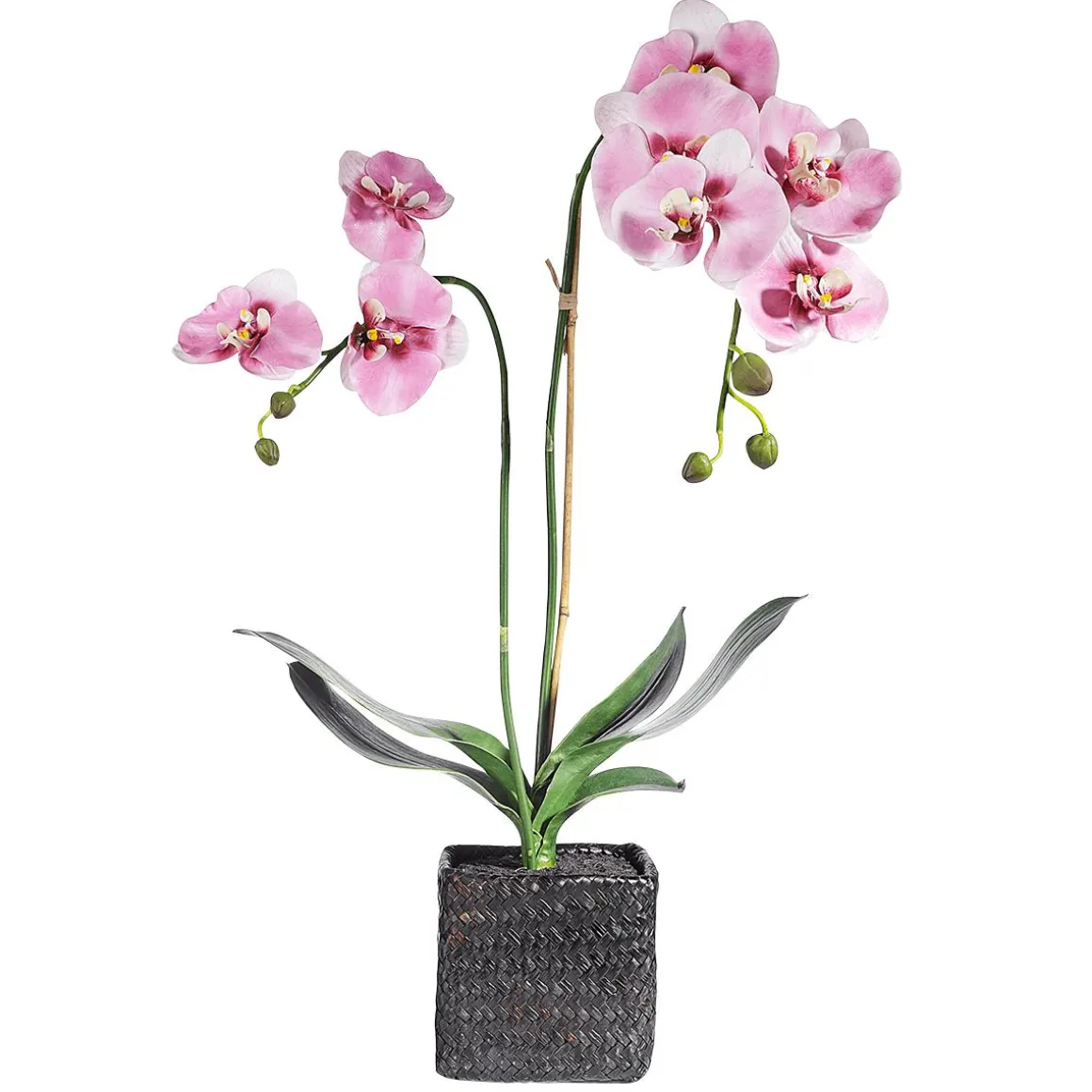 Orquídea Decorativa En Maceta Rosa 80 Cm
