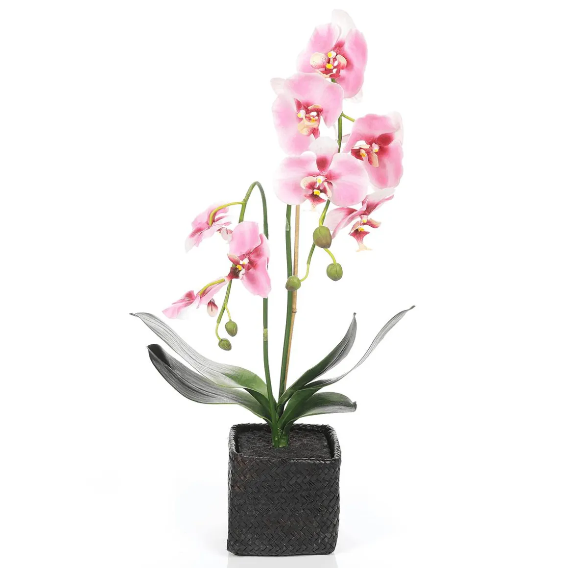 Orquídea Decorativa En Maceta Rosa 80 Cm