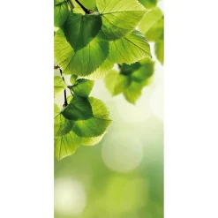 Pancarta De Fibra Natural Ligera Resistente A La Luz Hojas De Abedul 100 X 200 Cm