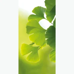 Pancarta De Tela Ignífuga "Ginkgo" De Tela De Bandera De 100 X 200 Cm