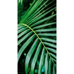 Pancarta De Tela Ignífuga "Palm Frond" De Tela De Bandera 100 X 200 Cm