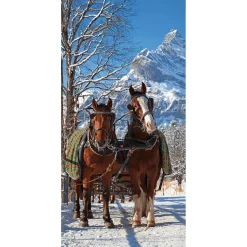 Pancarta De Tela Ignífuga "Carro De Caballos En La Nieve" De Tela De Bandera 100 X 200 Cm