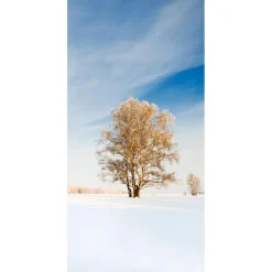 Pancarta De Tela Ignífuga "Árbol De Invierno Dorado" De Tela De Bandera 100 X 200 Cm