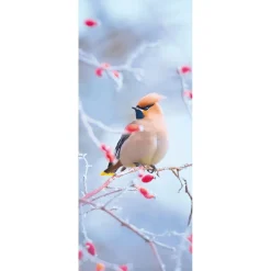 Pancarta De Tela Ignífuga "Pájaro De Cola De Seda En Rosa Mosqueta" De Tela De Bandera 75 X 180 Cm