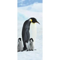 Pancarta De Tela Ignífuga "Familia De Pingüinos Emperadores" Tela De Bandera 75 X 180 Cm