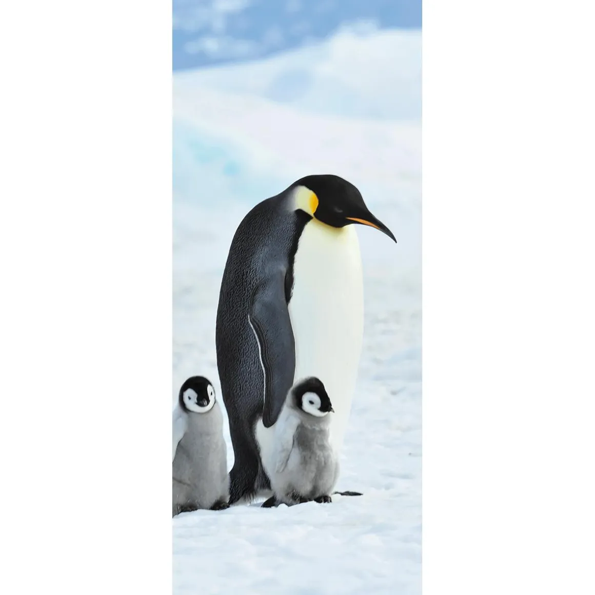 Pancarta De Tela Ignífuga "Familia De Pingüinos Emperadores" Tela De Bandera 75 X 180 Cm