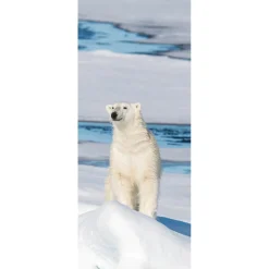 Pancarta De Tela Ignífuga "Oso Polar" De Tela De Bandera 75 X 180 Cm