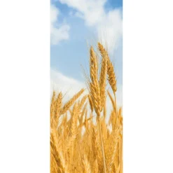Pancarta De Tela Ignífuga "Orejas De Trigo Doradas" De Tela De Bandera 75 X 180 Cm