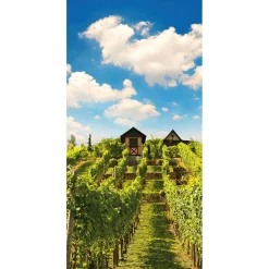 Pancarta De Tela Ignífuga "Viñedo Soleado" De Tela De Bandera 100 X 200 Cm