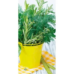 Pancarta De Tela Ignífuga "Herb Pot" De Tela De Bandera 100 X 200 Cm