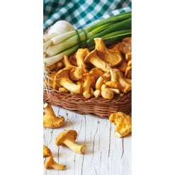 Pancarta De Tela Ignífuga "Hongos Chanterelle" De Tela De Bandera 100 X 200 Cm