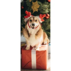 Pancarta De Tela Ignífuga "Perro De Navidad Corgi" De Tela De Bandera 75 X 180 Cm