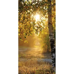Pancarta De Tela Ignífuga "Abedules De Otoño" De Tela De Bandera 100 X 200 Cm