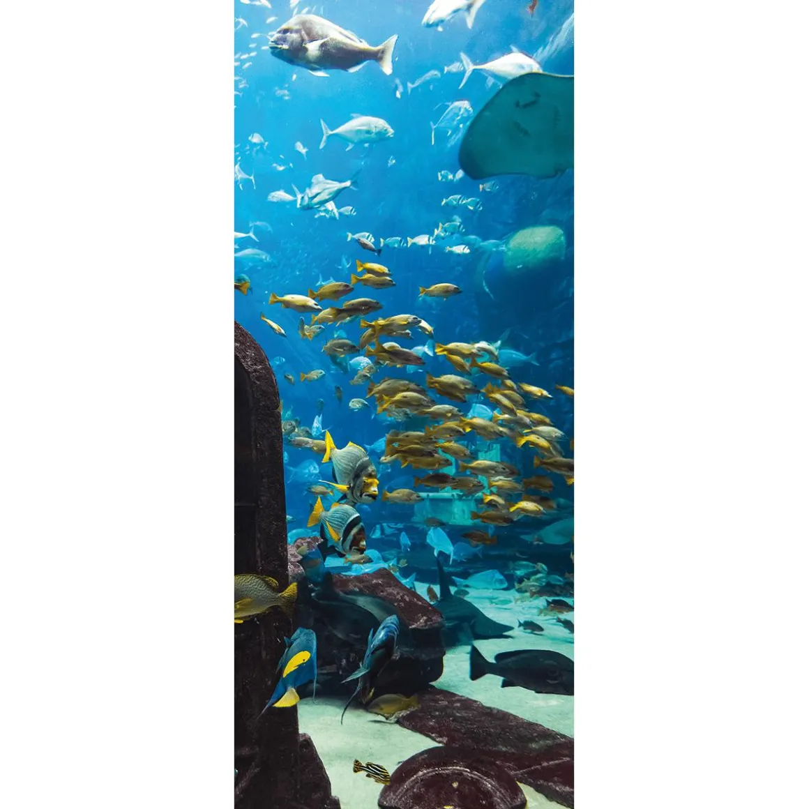 Pancarta De Tela Ignífuga "Paisaje Submarino En El Acuario" De Tela De Bandera 75 X 180 Cm