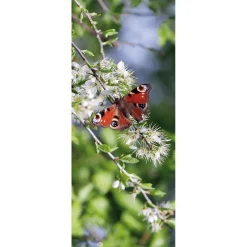 Pancarta De Tela Ignífuga "ojo De Pavo Real Mariposa Roja" De Tela De Bandera 75 X 180 Cm