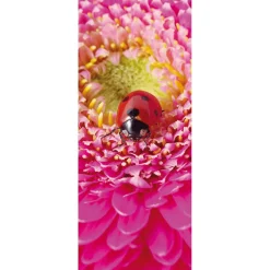 Pancarta De Tela Ignífuga "Mariquita Sobre Flor Rosa" De Tela De Bandera 75 X 180 Cm