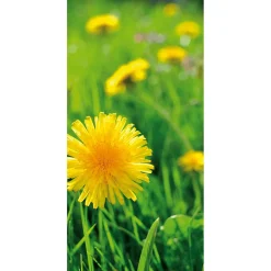 Pancarta De Tela Ignífuga "diente De León Amarillo" De Tela De Bandera 100 X 200 Cm