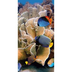 Pancarta De Tela Ignífuga "Arrecife Con Peces De Coral De Colores" De Tela De Bandera 100 X 200 Cm