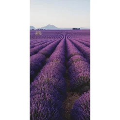 Pancarta De Tela Ignífuga "Campo De Lavanda En Provenza" De Tela De Bandera 100 X 200 Cm