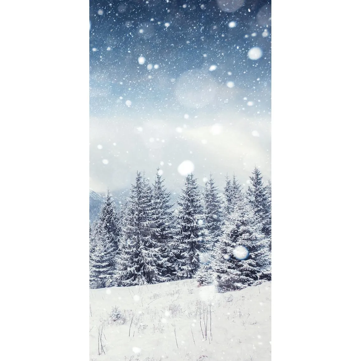 Pancarta De Tela Ignífuga "Bosque De Abetos Nevados" De Tela De Bandera 100 X 200 Cm