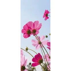 Pancarta De Tela Retardante De La Llama Cosmea Rosa Tela De La Bandera 75 X 180 Cm