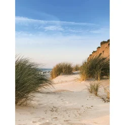 Pancarta De Tela XL "Duna De Playa" De Tela De Bandera Ignífuga 150 X 200 Cm