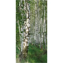 Pancarta Ligera De Fibra Natural "Bosque De Abedules" De Algodón 100 X 200 Cm