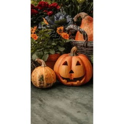 Pancartas De Tela Calabaza Halloween 100 X 200 Cm