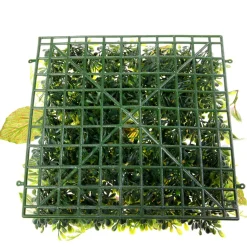 Panel Artificial De Arbusto De Fitonia 25 X 25 Cm