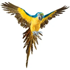 Papagayo Decorativo Azul-amarillo Longitud 77 Cm