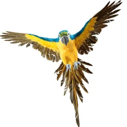 Papagayo Decorativo Azul-amarillo Longitud 77 Cm