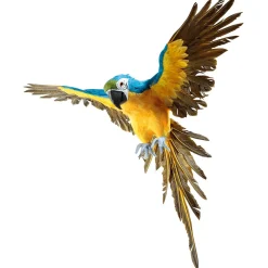 Papagayo Decorativo Azul-amarillo Longitud 77 Cm