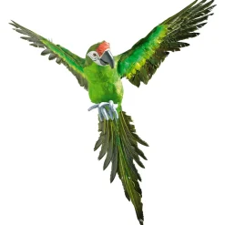 Papagayo Decorativo Verde Longitud 77 Cm