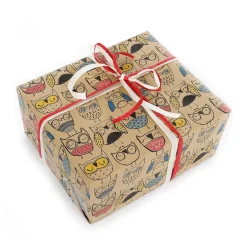 Papel Kraft Reciclado Con Búhos De Colores - Rollo De Papel De Regalo De 50 M.