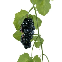 Parra De Hoja De Parra Con Uvas 180 Cm