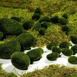 Piedras Decorativas Con Musgo, 6 Piezas