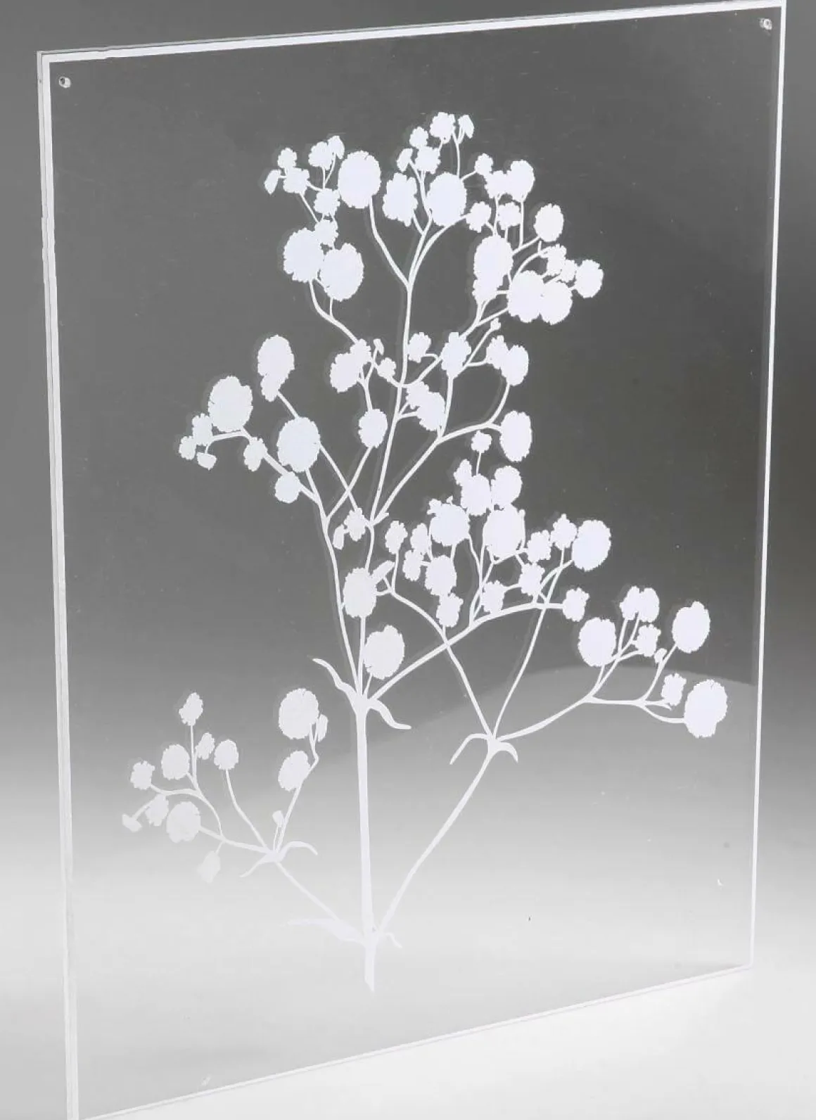 Pintura Acrílica "Gypsophila" 35 X 45 Cm