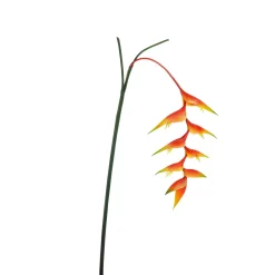 Pinzas De Langosta De Heliconia Artificial 30 X 96 Cm Naranja