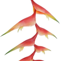 Pinzas De Langosta De Heliconia Artificial 30 X 96 Cm Naranja
