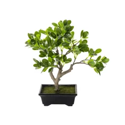 Planta Artificial Bonsái Hoja De Centavo En Maceta 28 X 11 X 34 Cm (ancho X Largo X Alto)
