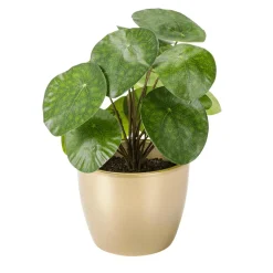 Planta Artificial Deco Pilea En Maceta, Pancake 25 Cm