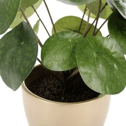 Planta Artificial Deco Pilea En Maceta, Pancake 25 Cm