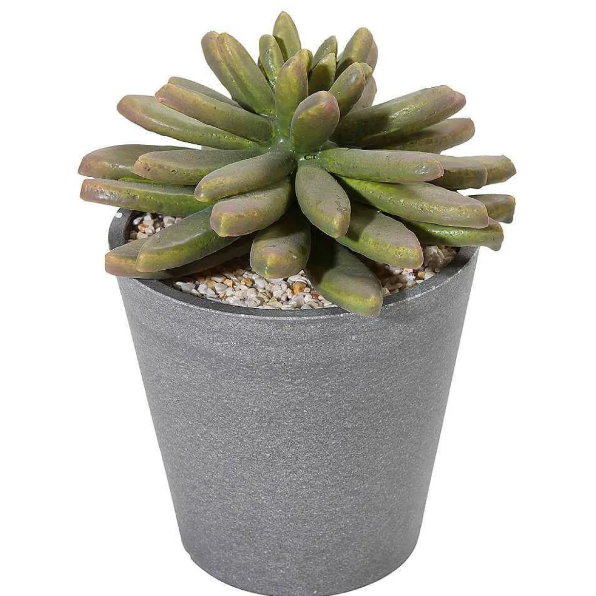 Plantas Suculentas Artificiales 20 Cm