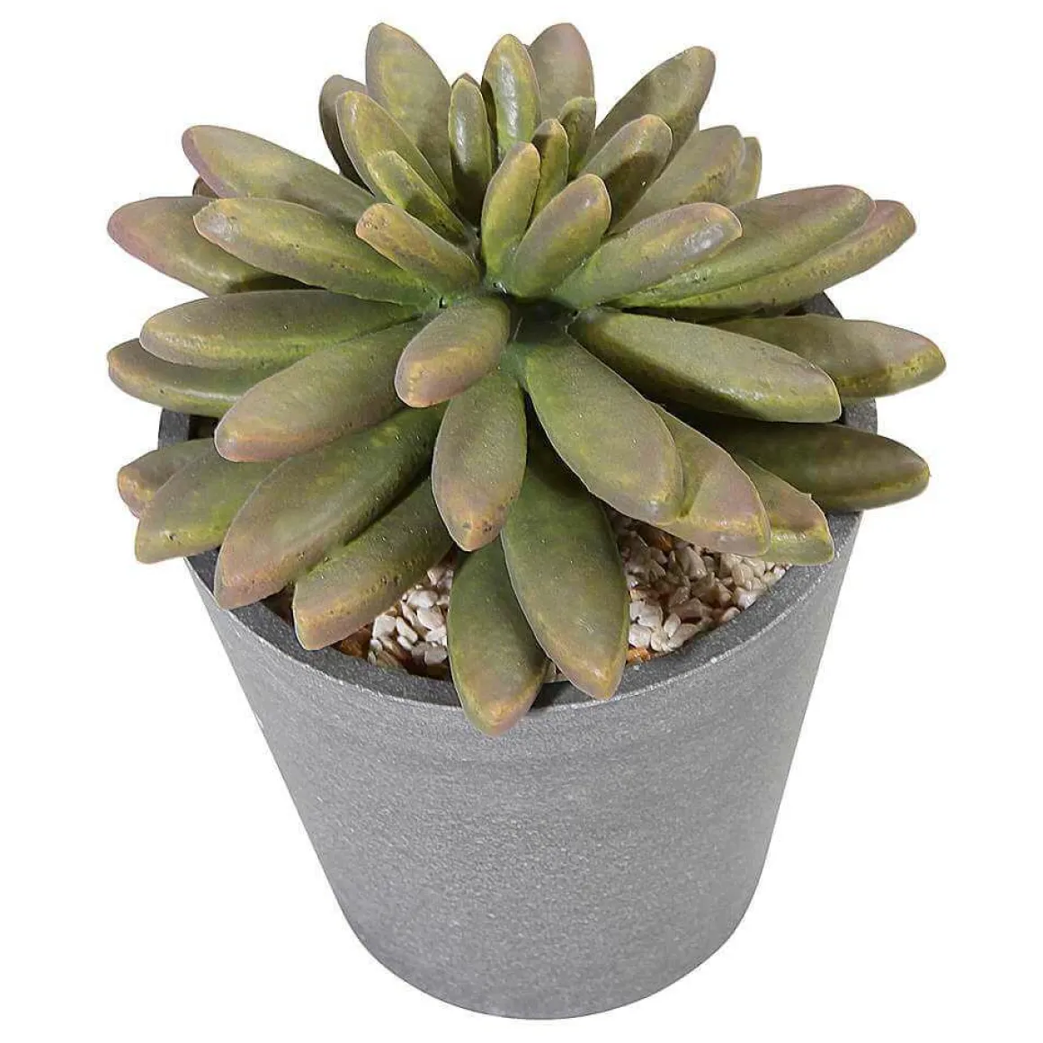 Plantas Suculentas Artificiales 20 Cm