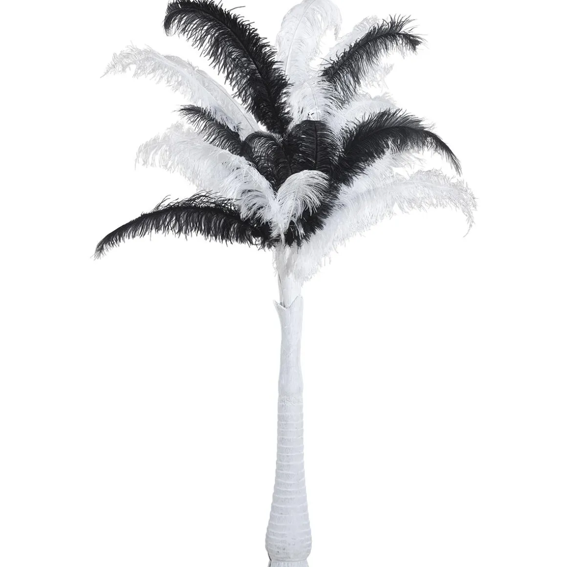 Pluma De Avestruz, Color Blanco